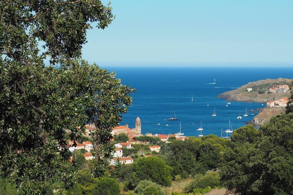 Villa Collioure Mar I Munt Eksteriør billede