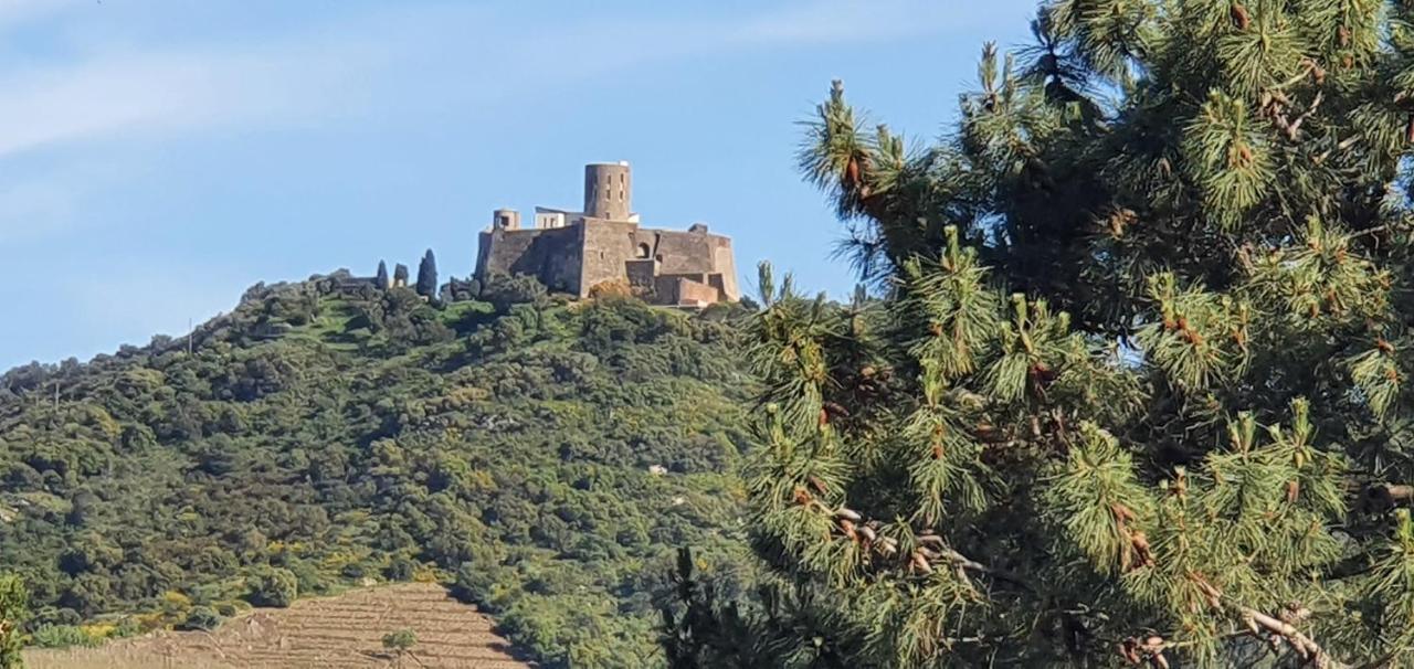 Villa Collioure Mar I Munt Eksteriør billede